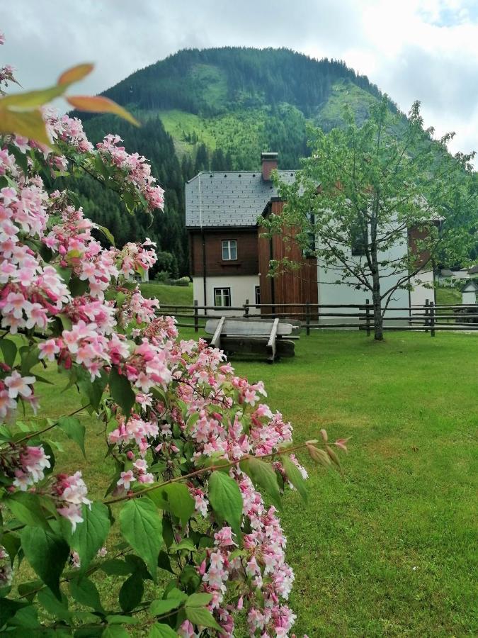 Himmlisch Urlauben St. Nikolai Apartment Sankt Nikolai im Solktal Ngoại thất bức ảnh